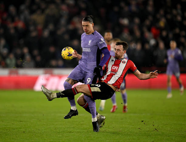 也为深圳教 也为深圳教