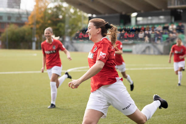 花的比赛中 花的比赛中